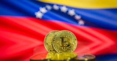 Litentry (LIT) Technical Analysis 2023 for Crypto Traders Digital Bolivar: The Venezuelan Central Bank to Launch CBDC