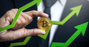 What Do You Need To Do To Become A Skilled Trader? The Top 6 Reasons Why Crypto Prices Go Up