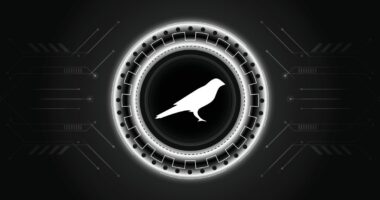 Circle plans to become a full-reserve national digital currency bank Kusama KSM Technical Analysis 2023 for Crypto Traders