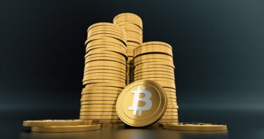 Is Erecoin Good for Investing? Is Crypto Mining Still Profitable in 2023?
