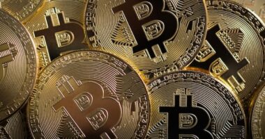 Cardano price analysis: ADA faces key resistance at $1.40, start of a bull run? How to Conduct a Crypto Investigation: Best Practices and Tools 2023