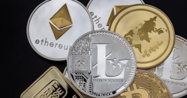 How to Improve Your eCommerce Shipping Strategy for Faster Delivery Times Best 5 Cryptocurrency Marketing Agencies
