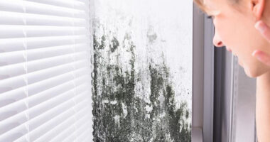 From Loneliness to Laughter: The Benefits of Escort Companionship How to Detect and Manage Mold in Your Crypto Mining Room