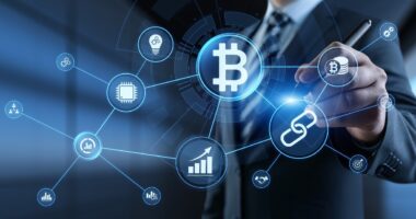 Crypto Mining in Your Basement? How to Prevent Mold and Ensure a Healthy Environment Starting a Crypto Business – Top Opportunities for Ex-Inmates