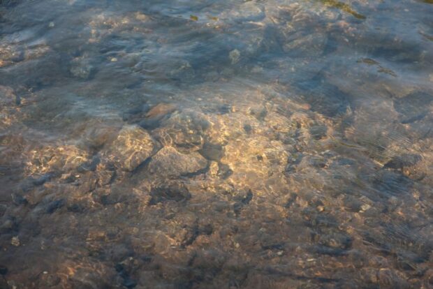 The Impact on Local Businesses and Employment of The Mariana Dam Disaster The Impact on Local Businesses and Employment of The Mariana Dam Disaster