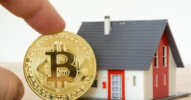 Traveling by Bus from Miami to NY – Worth the Savings? Selling Your Home for Crypto – What You Need to Know Before You Make the Leap